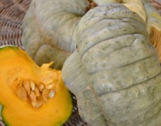 Autunno, tempo di zucca