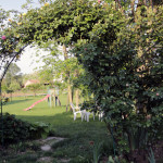 il nostro giardino